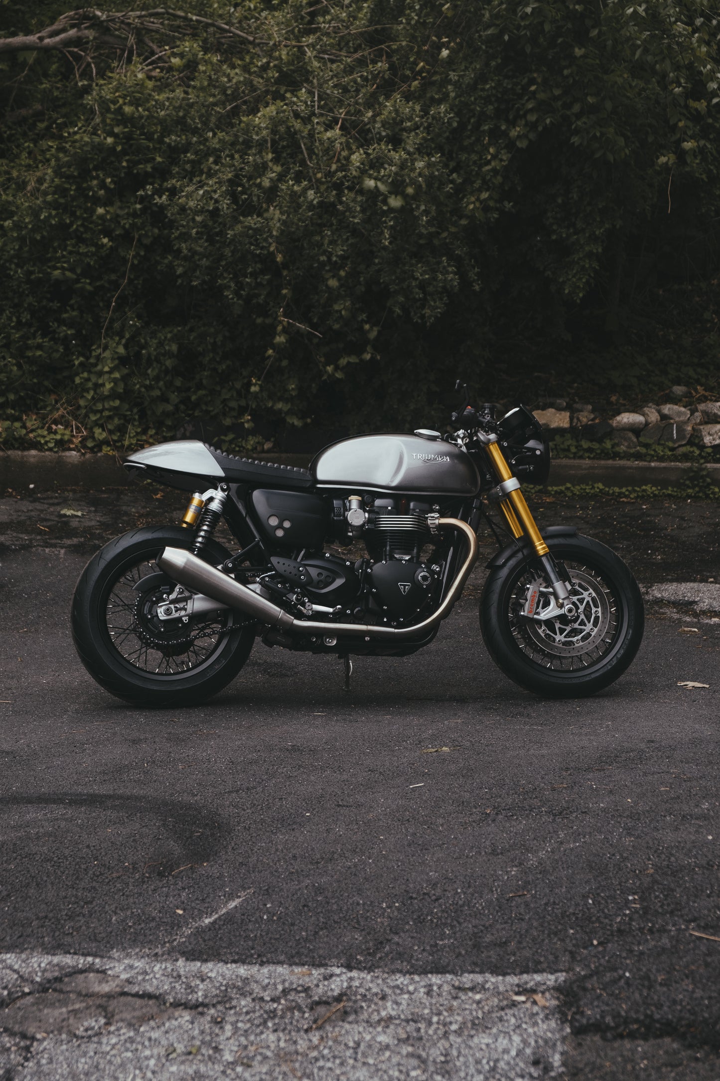 Black Ohlins Shock Springs - Triumph Thruxton R