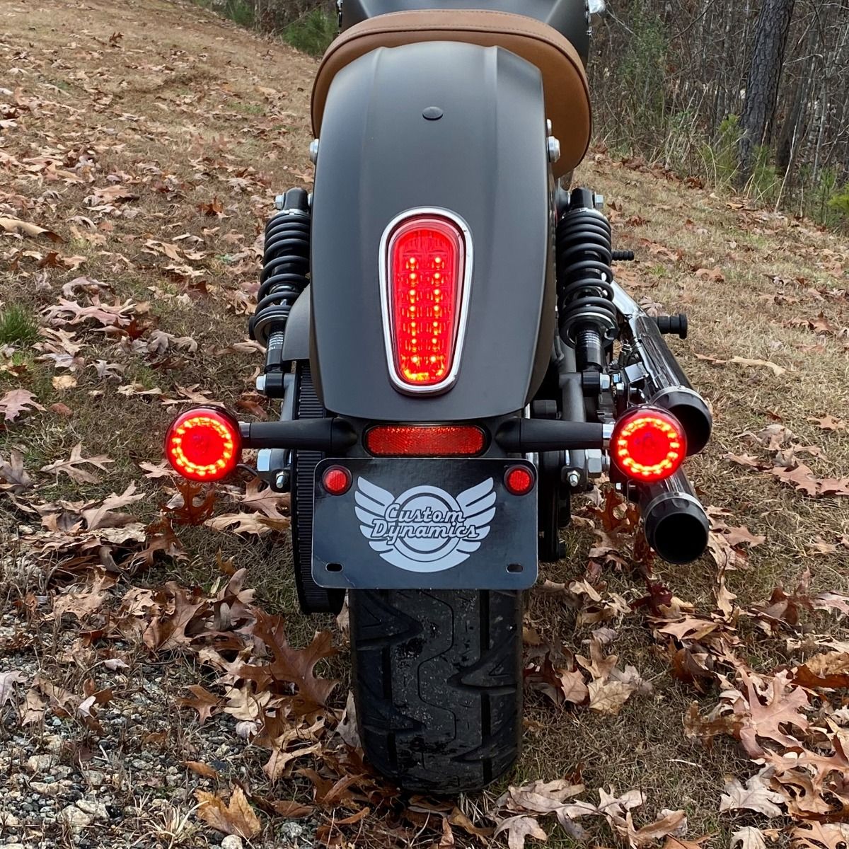 Custom Dynamics Pro-Beam LED Rear Turn Signals - 2015-2024 Indian Scout