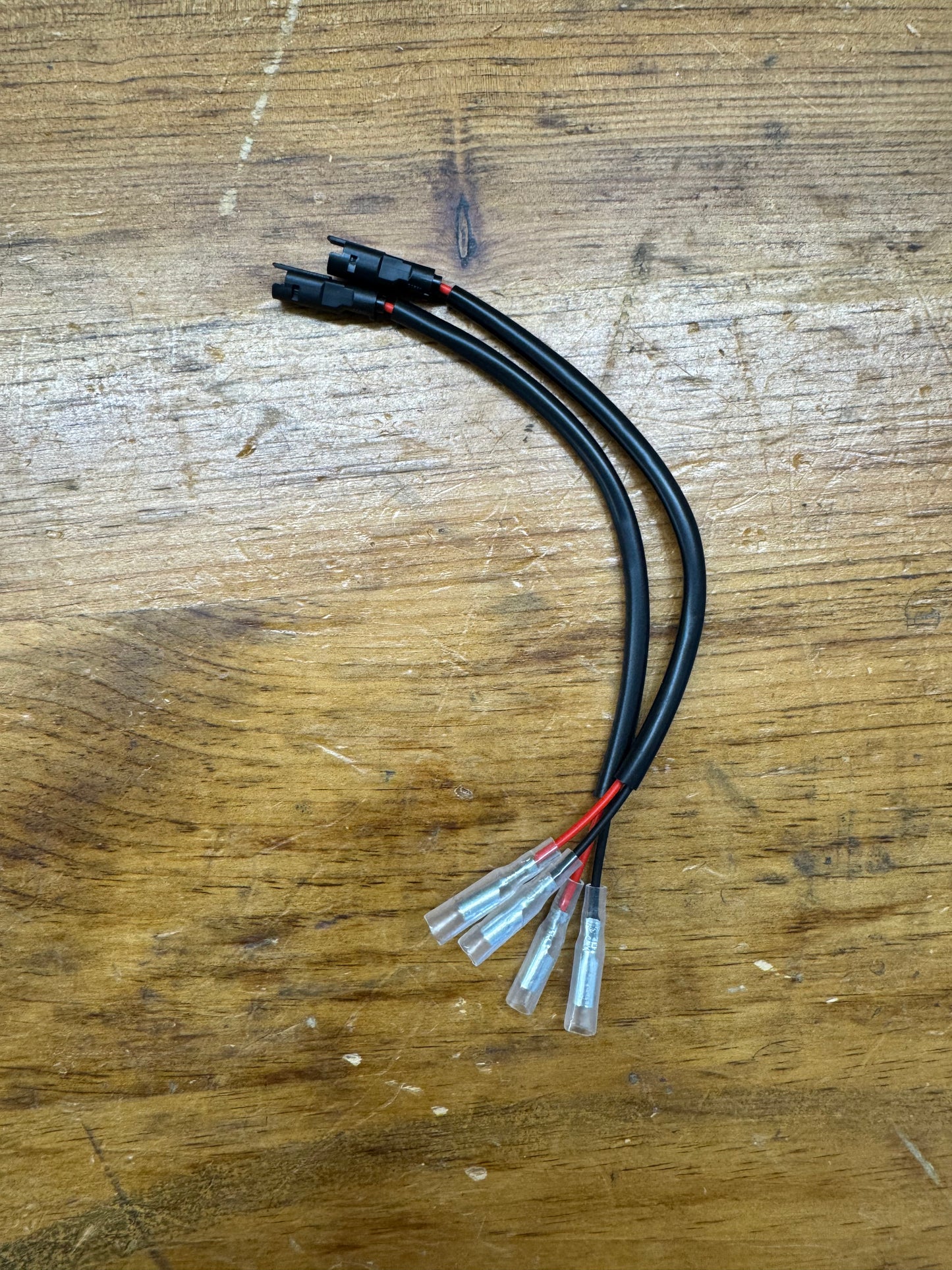 Plug and Play Turn Signal Harnesses - 3.9MM Bullet Connectors - 2025+ Triumph Speed Twin 1200 / RS