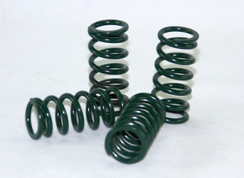 Barnett High Performance Green Clutch Springs - 2001-2015 Triumph Twins