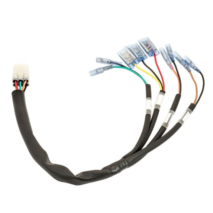 Motone Plug and Play Rear Wiring Harness - 2016+ Triumph Classics DDM021