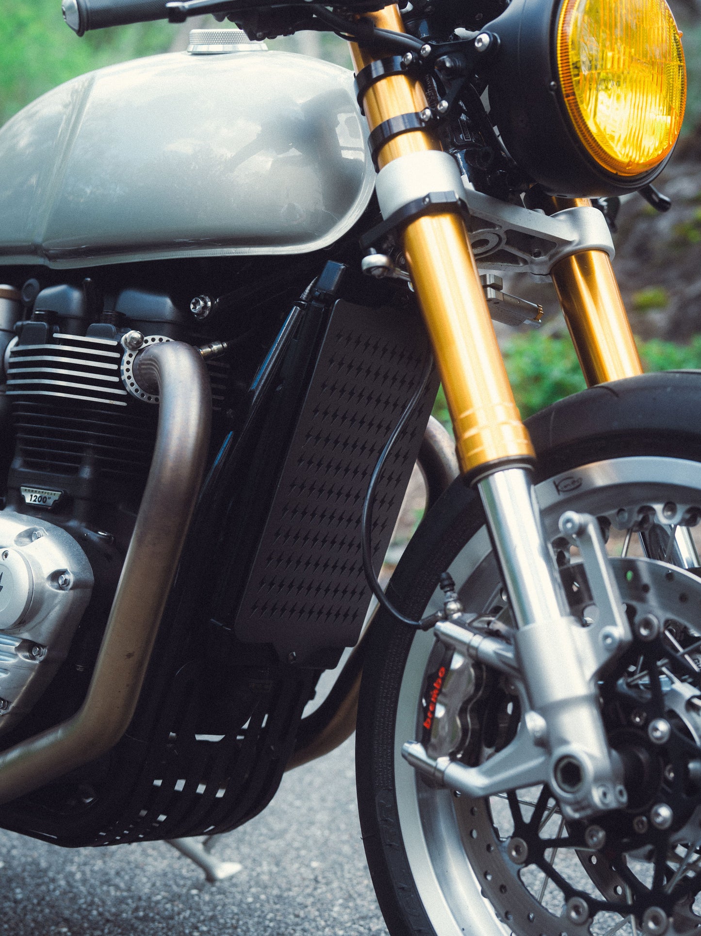 Lightning Bolt Radiator Guard - 2016+ Triumph Classics