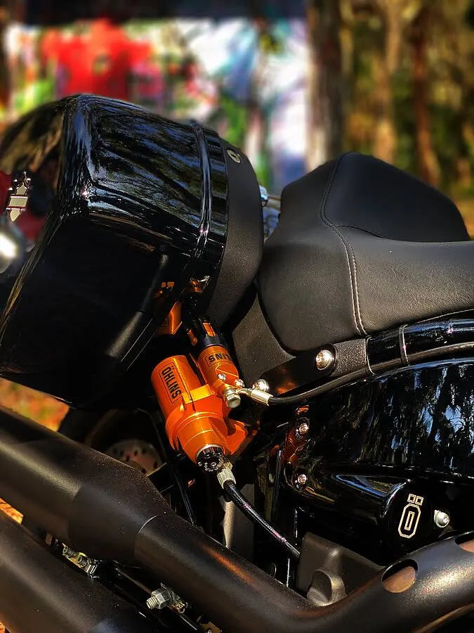Ohlins STX 46 Pro Shock - 2018+ Harley Davidson Softail HD 517