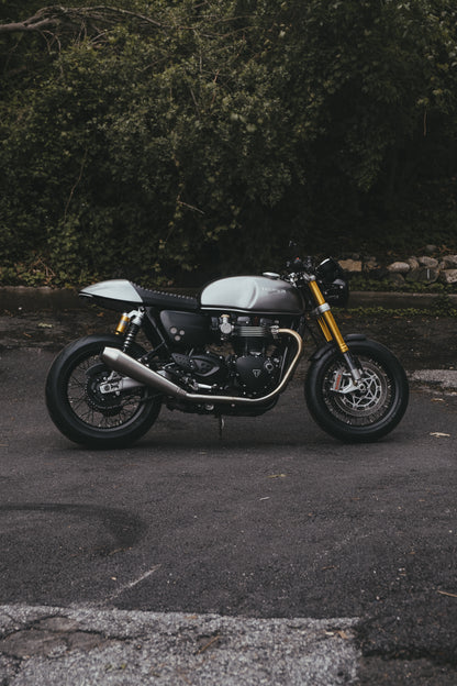 Black Ohlins Shock Springs - Triumph Thruxton R
