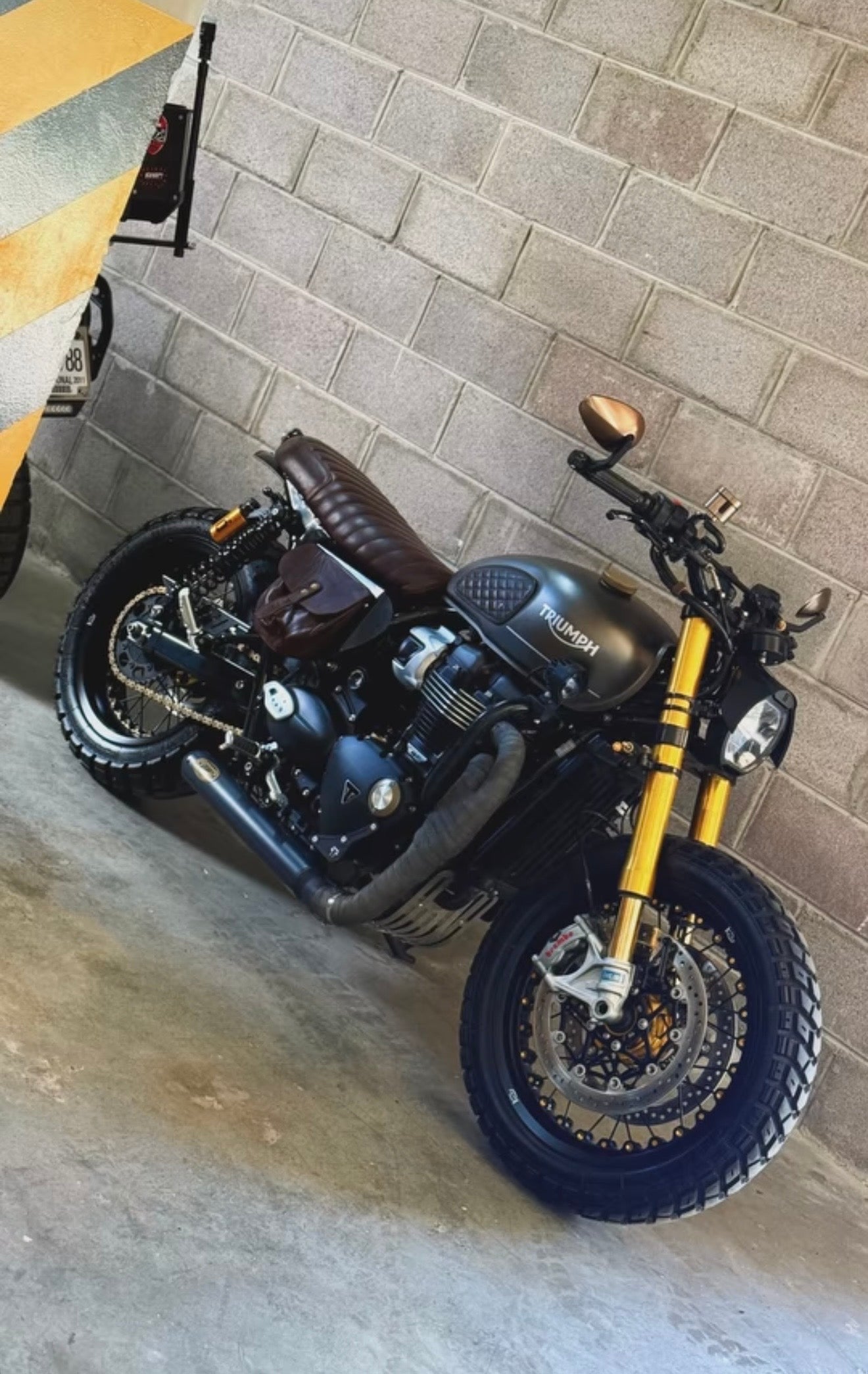 Ohlins S36PR1C1L STX36 Blackline Gold Reservoir Shocks - Triumph Bonneville T120 / T100, Street Scrambler, Street Cup