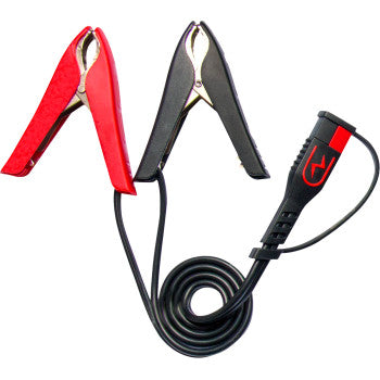 BS Battery Charger / Tender 1 AMP - BS 10