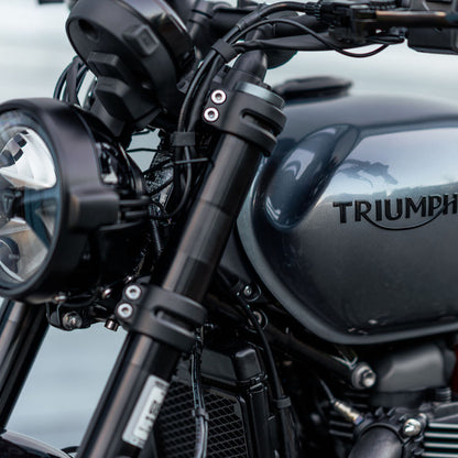 Triumph Black Tank Emblems - Pair