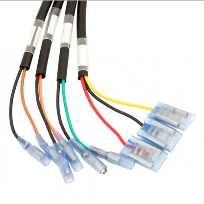 Motone Plug and Play Rear Wiring Harness - 2016+ Triumph Classics DDM021