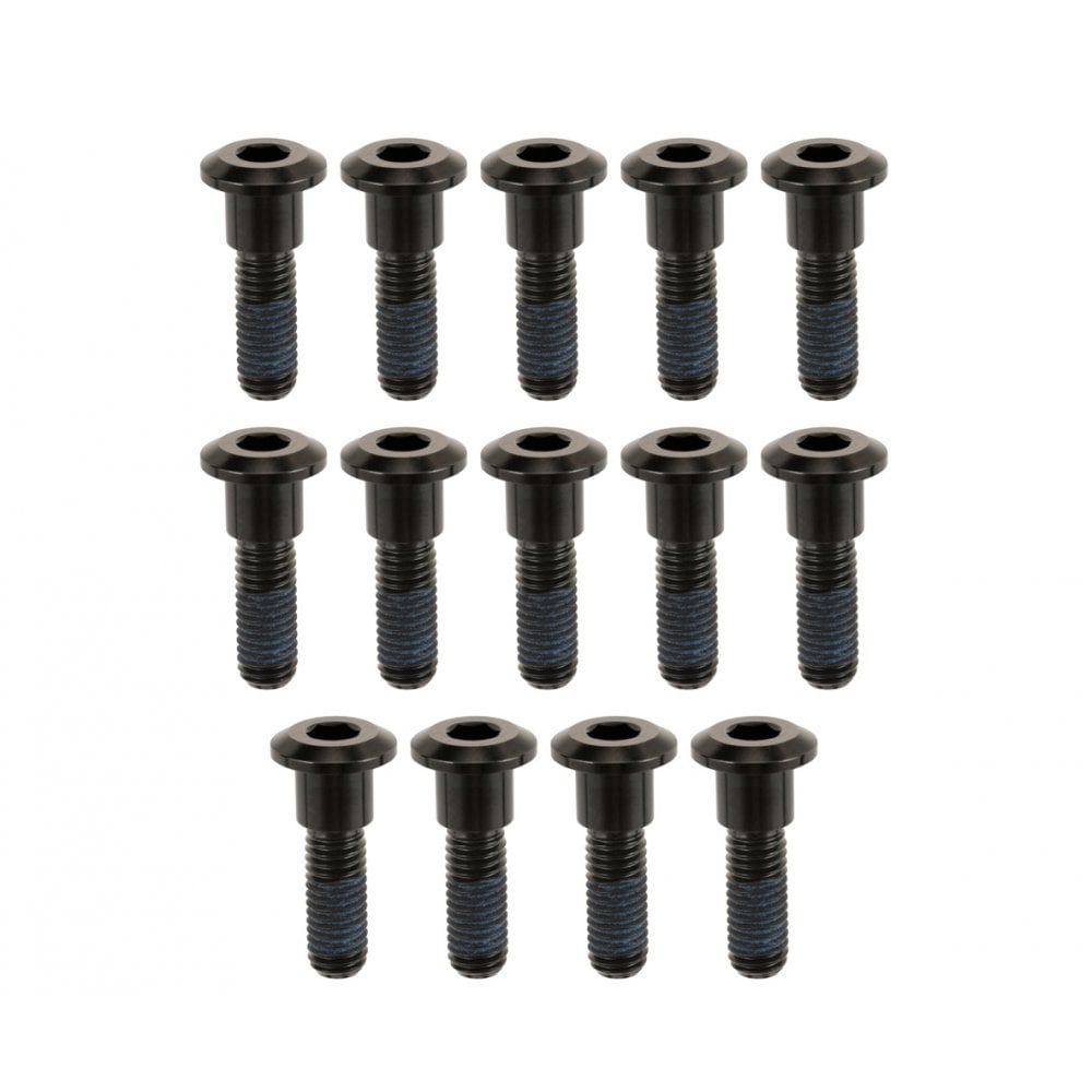 Motone Titanium Brake Disk Bolts - 14 Pieces - Black - 2016+ Triumph Speed Twin 1200, Bobber, Thruxton R / RS / FE