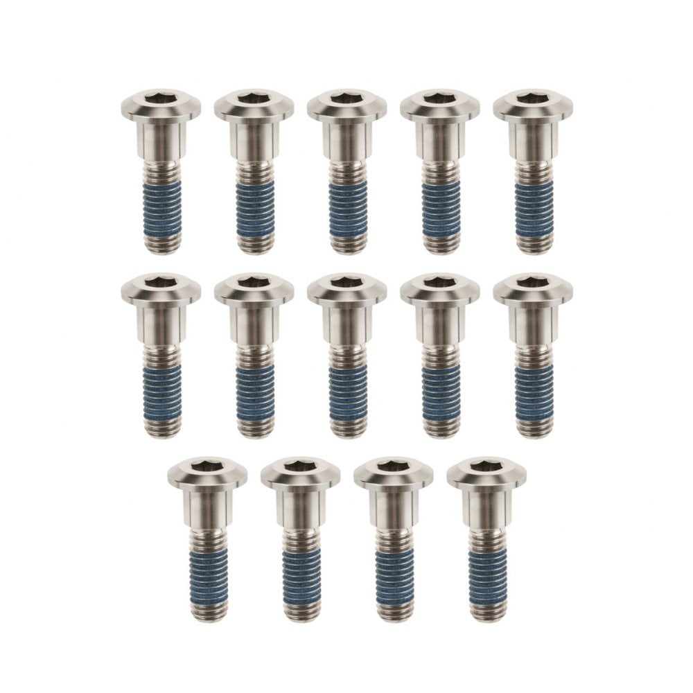 Motone Titanium Brake Disk Bolts - 14 Pieces - Natural - 2016+ Triumph Speed Twin 1200, Bobber, Thruxton R / RS / FE